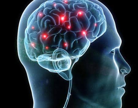 brain cerebro neurociencia