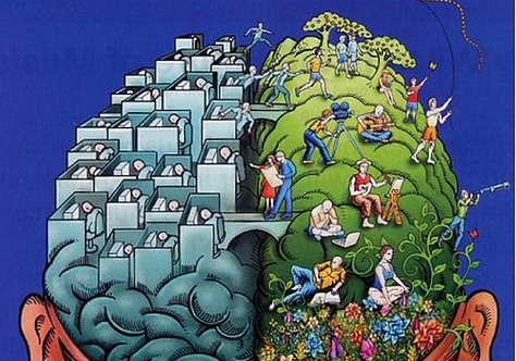 cerebro derecho e izquierdo