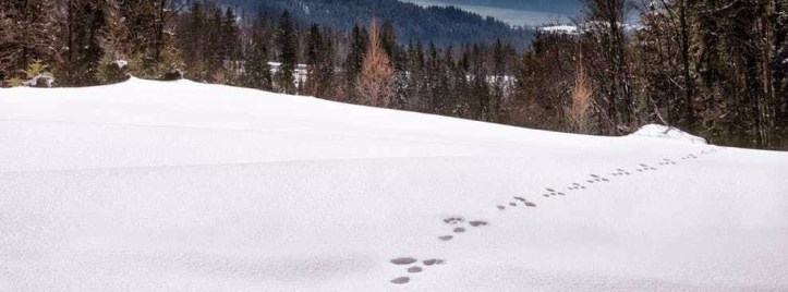 trazabilidad de las decisiones de rrhh